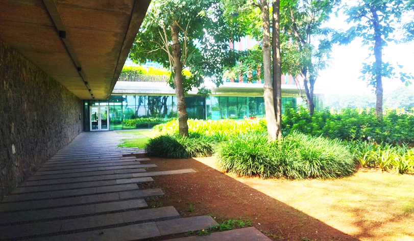 Sustainable-landscape-solutions