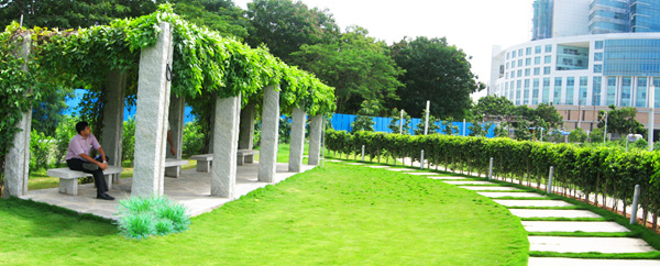 TCS-campus-at-hyderabad